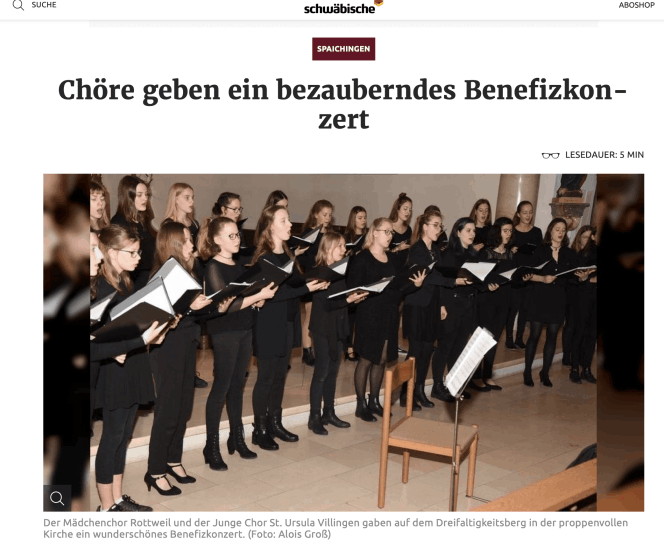 Artikel Borkener Zeitung